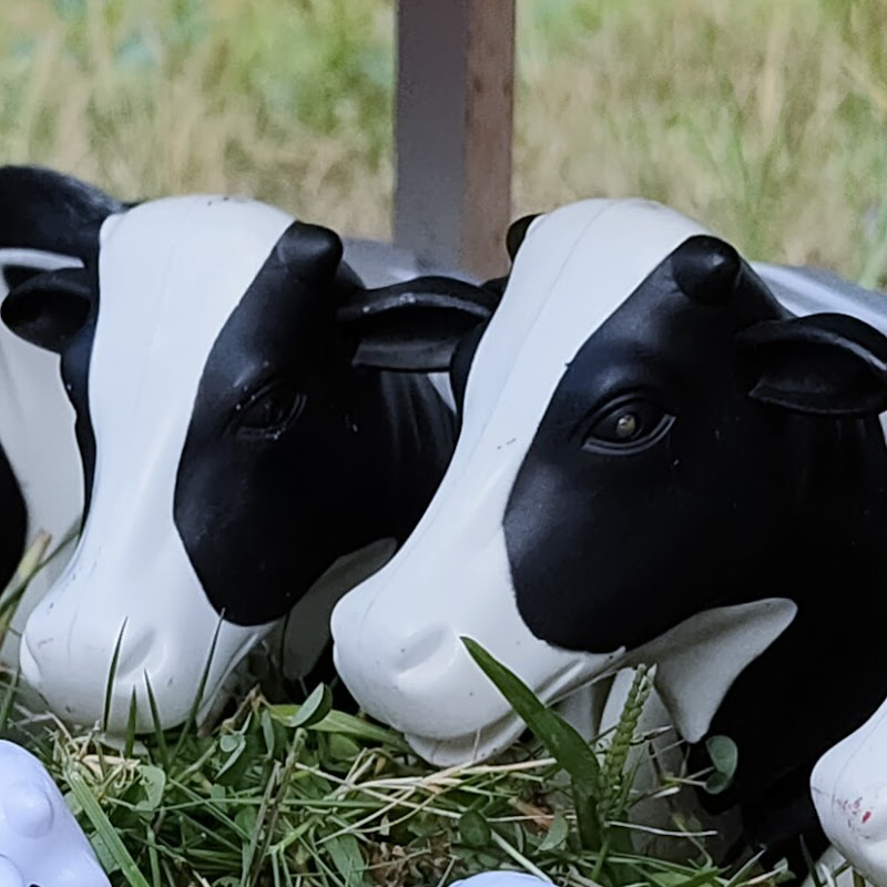 cow toy icon