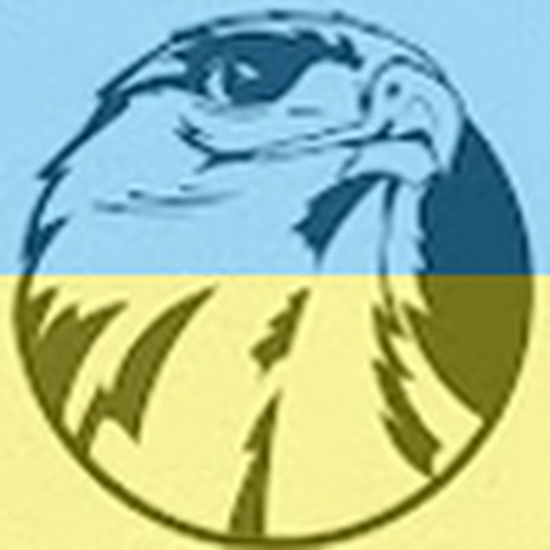 youtube author avatar