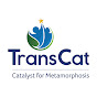 TransCat People Solutions Pvt Ltd India logo