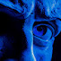 Xm-tswLK-YE-channel-avatar-Darius