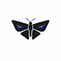 2_JtkXZD1vs-channel-avatar-Watch Moth