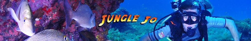 Jungle Jo رمز قناة اليوتيوب