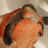 @PinkbellyKingdom's avatar
