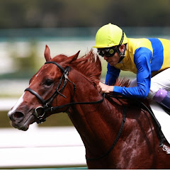 競馬YouTuber比較チャンネル