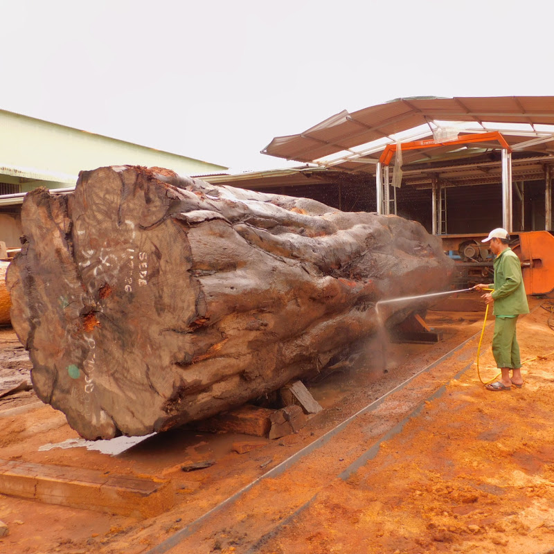 Enduring Timbereraft Logo