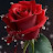 @Ali_h55555