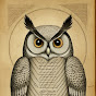 Solace Owl
