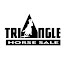 lAsyKSiGPAQ-channel-avatar-Triangle Horse Sale
