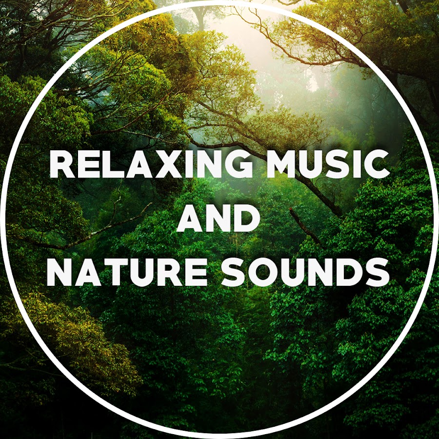 Karakter slap af Illustrer Relaxing Music and Nature Sounds - YouTube