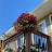 @SunshineRoses-j5c