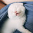 @아이뽀-v6c