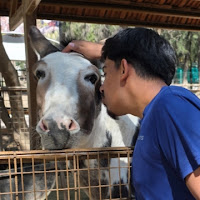 Profile Picture of Sebastian_por_el_mundo
