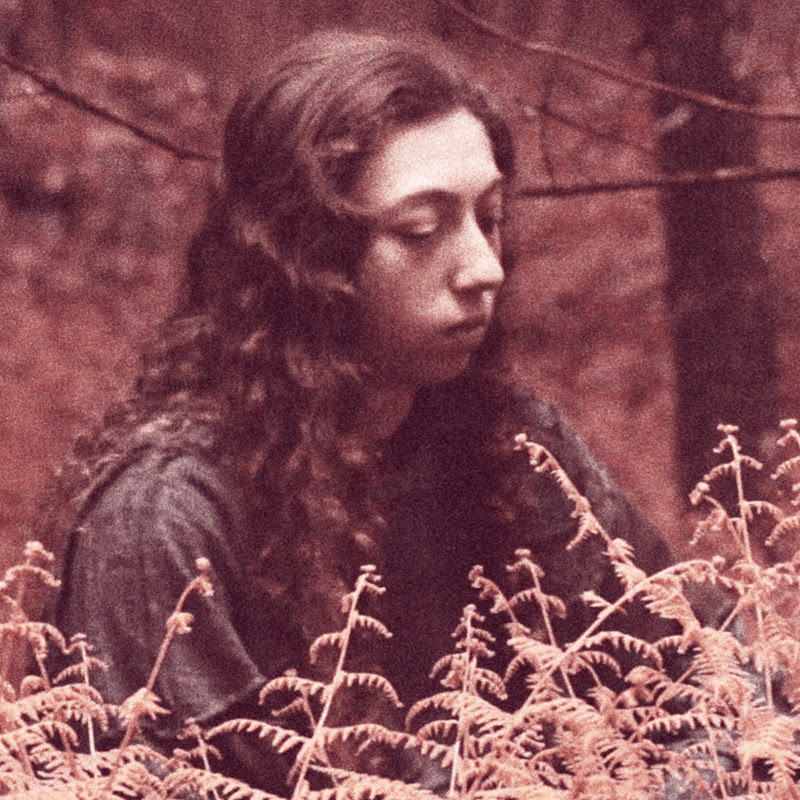 Bread on Penguins Logo