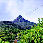 AadaruNethsara-c9k