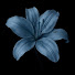 F704KQyPYyU-channel-avatar-☆Random Art☆