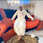@hamzaaalextowo9642