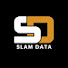 0yeNjDmeKHg-channel-avatar-Slam Data