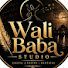 -3O3Z6E9XHg-channel-avatar-wali baba Studio 
