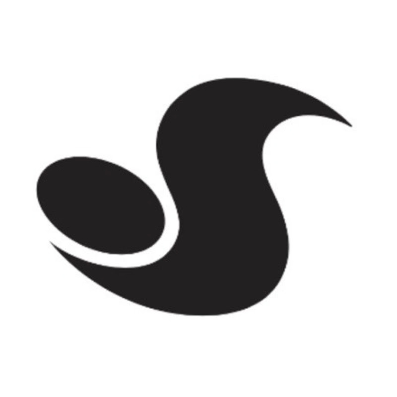 DVS SHOE COMPANY