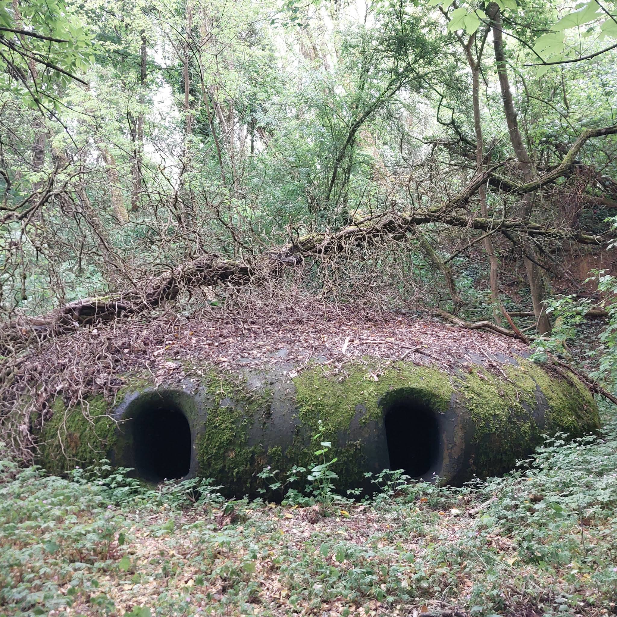 Post from Lost Battlefields w Tino Struckmann