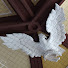 OJAMyPEiOvY-channel-avatar-K. S.