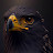 @MuhammadFaris-u3m