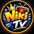 HtMr5Dim3Ho-channel-avatar-Nikitv00