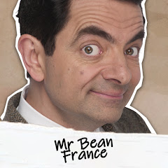 Mr Bean France net worth