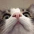 7Ko694R8jq0-channel-avatar-Jason Mameow