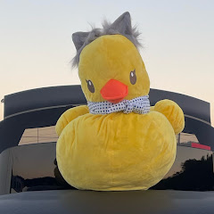 ひこいち