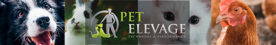 Pet Elevage (en ligne) YouTube channel avatar