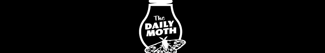The Daily Moth YouTube channel avatar