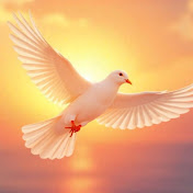 Predestined Motivation