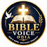 pfDETu8dzcA-channel-avatar-Bible Voice Odia