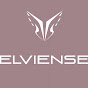 Elvira Bashanaeva logo