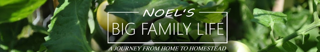 Noel's BIG Family Life Vlogs YouTube channel avatar