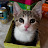 Avatar photo