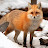 @that_orange_fox-cy8ur