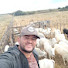 KFYDgiPZ1u8-channel-avatar- wilson souza vendas de propriedades 