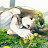 @وعد-ي4ن