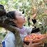 QdSr7MvI25s-channel-avatar-Lien Rural Life