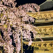 外国人ザワつく日本Ch 【海外の反応】