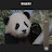 @Shindj-s9o