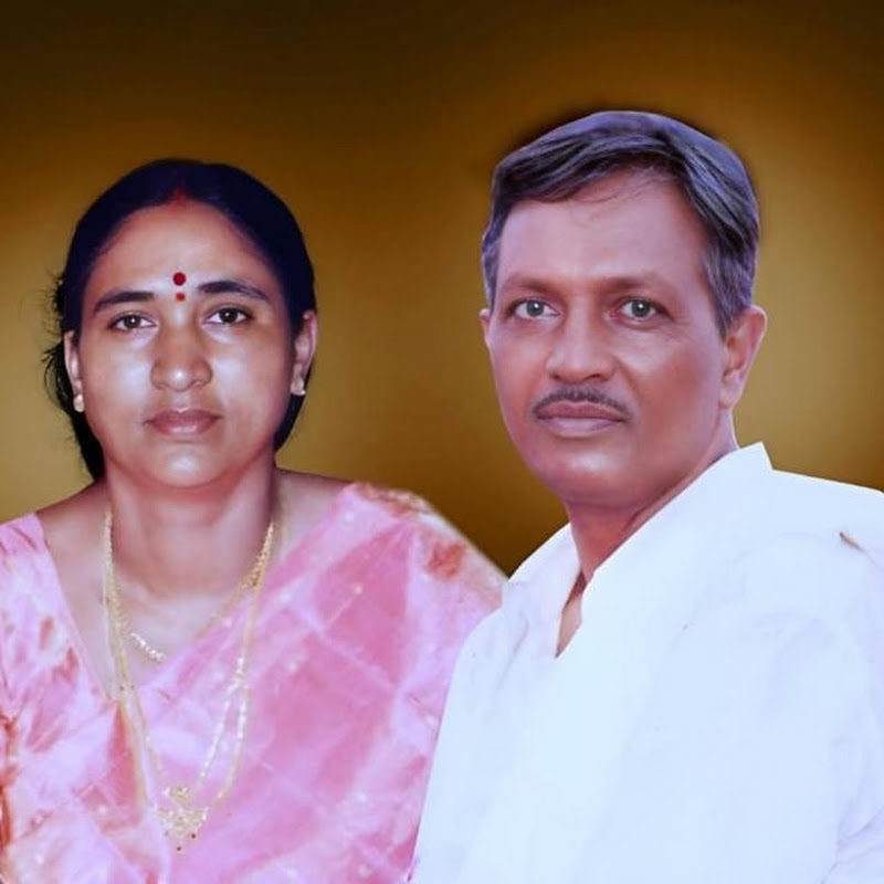 VSR English Medium High School
