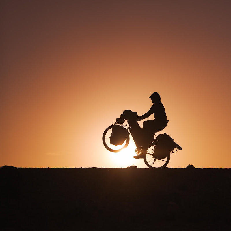 monkey on 2wheels