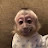 @RomanyDagger's avatar