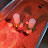 @ThirteenthSpring-o7u