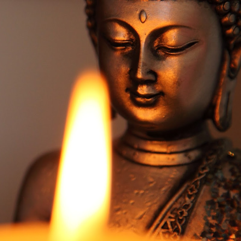 अत्त दीपो भव ​(Be Your Own Light)