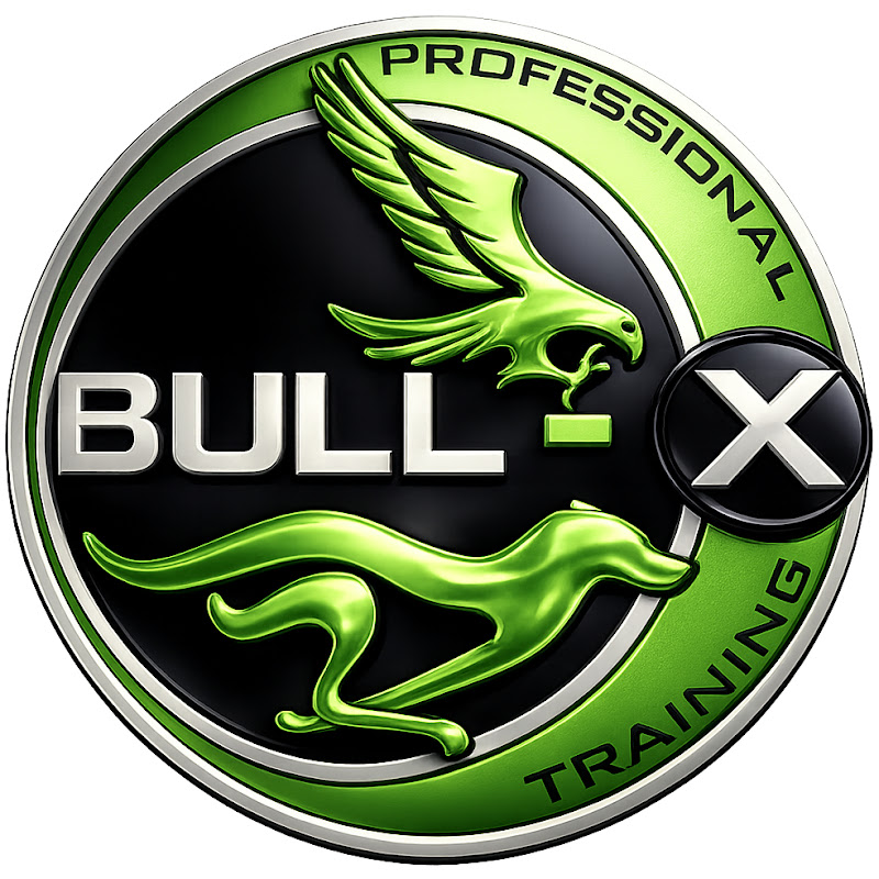 Bull-X TV icon
