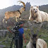 khxHrEWE7zg-channel-avatar- Dağların Oğlu Son of the mountains